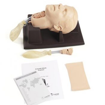 anatomicalmodels-mesdtore.ie