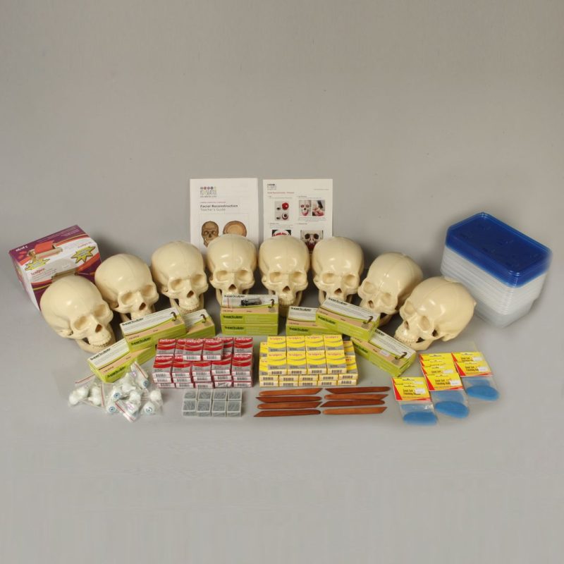 Anatomicalmodels-medstore.ie